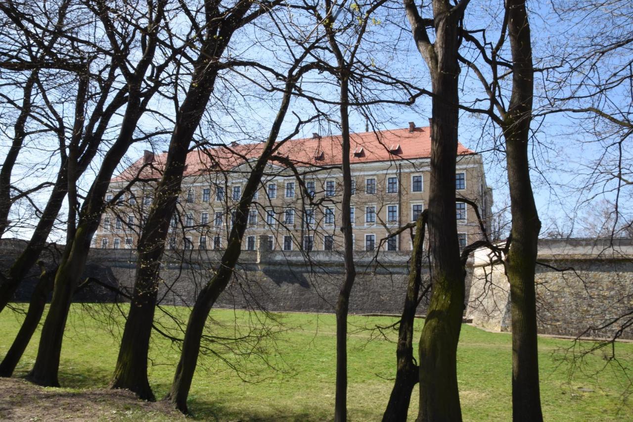 Apartament Nad Fontanna Rzeszow Dış mekan fotoğraf
