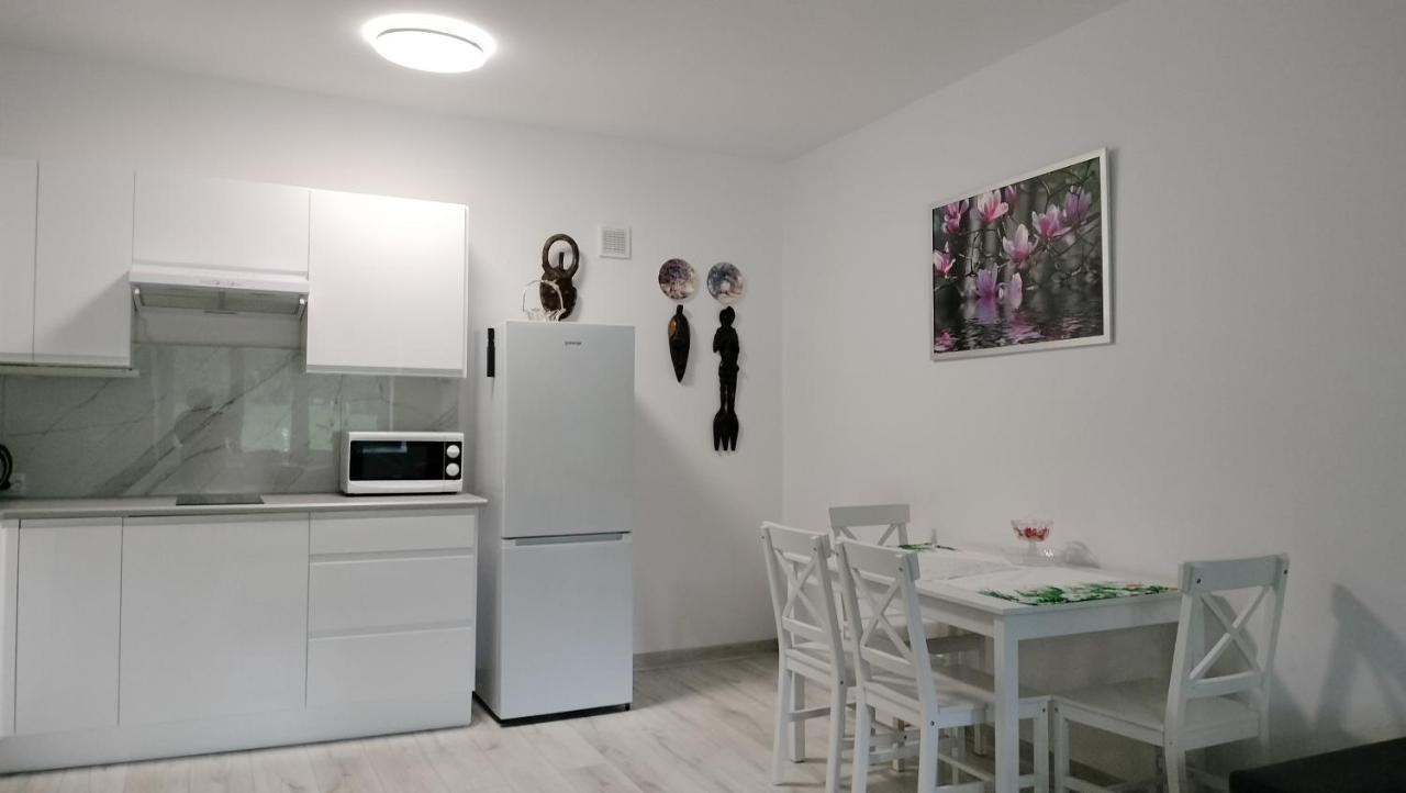 Apartament Nad Fontanna Rzeszow Dış mekan fotoğraf