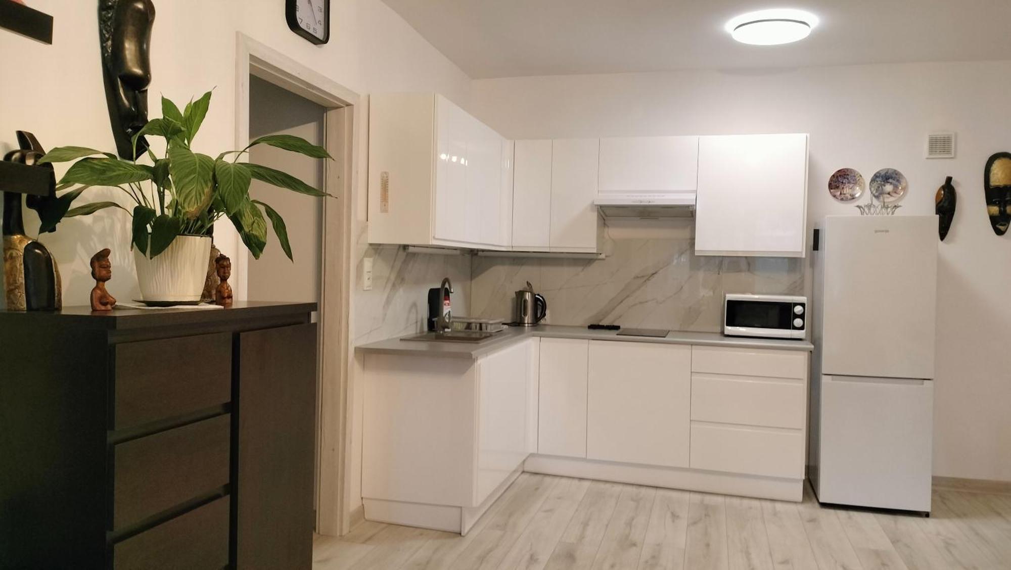 Apartament Nad Fontanna Rzeszow Dış mekan fotoğraf
