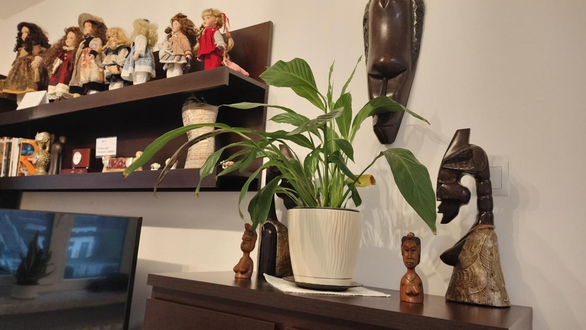 Apartament Nad Fontanna Rzeszow Oda fotoğraf
